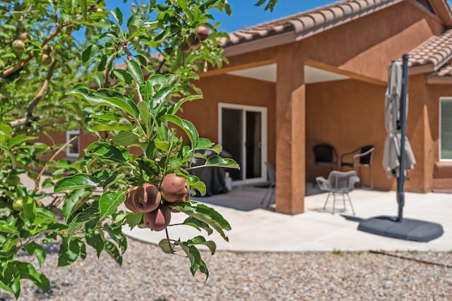 429 Paseo Vista Loop NE, Rio Rancho, NM 87124 - back of house featuring stucco siding and a patio