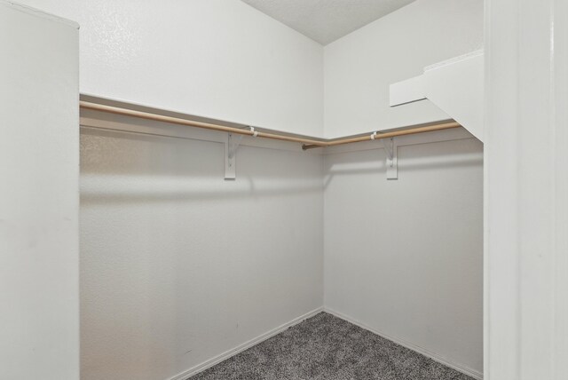10016 Rio Canon Ave SW, Albuquerque, NM 87121 - walk in closet with carpet