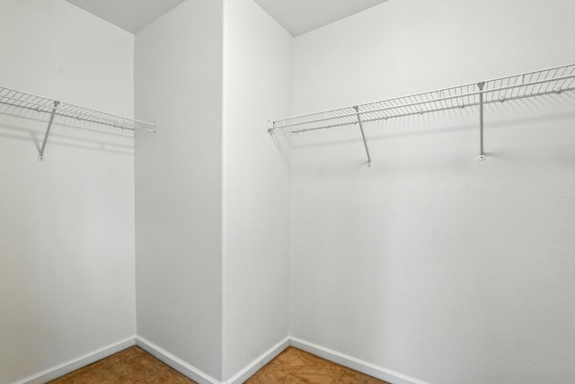 5940 Night Rose Ave NW, Albuquerque, NM 87114 - spacious closet with light colored carpet