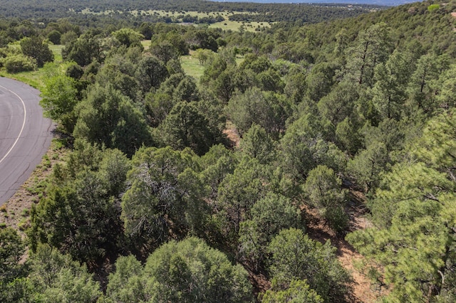 33 Los Pecos Lp, Tijeras, NM 87059 - photo 10