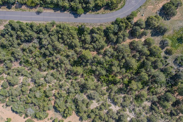 33 Los Pecos Lp, Tijeras, NM 87059 - photo 9