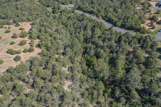 33 Los Pecos Lp, Tijeras, NM 87059 - photo 8