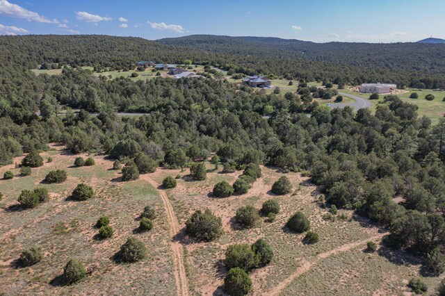 33 Los Pecos Lp, Tijeras, NM 87059 - photo 7