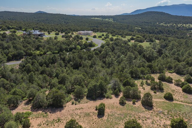 33 Los Pecos Lp, Tijeras, NM 87059 - photo 6