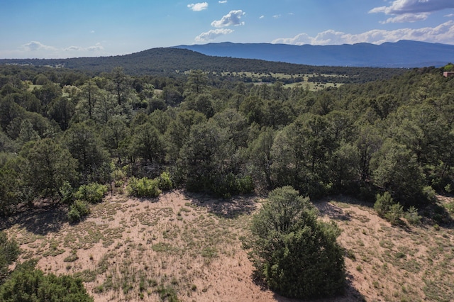 33 Los Pecos Lp, Tijeras, NM 87059 - photo 4