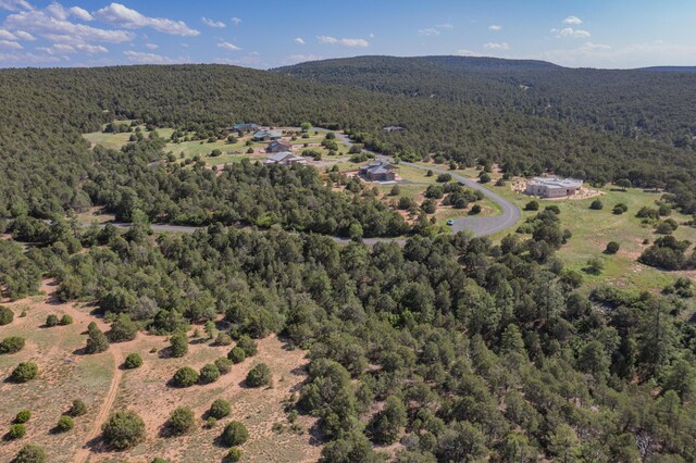 33 Los Pecos Lp, Tijeras, NM 87059 - photo 3