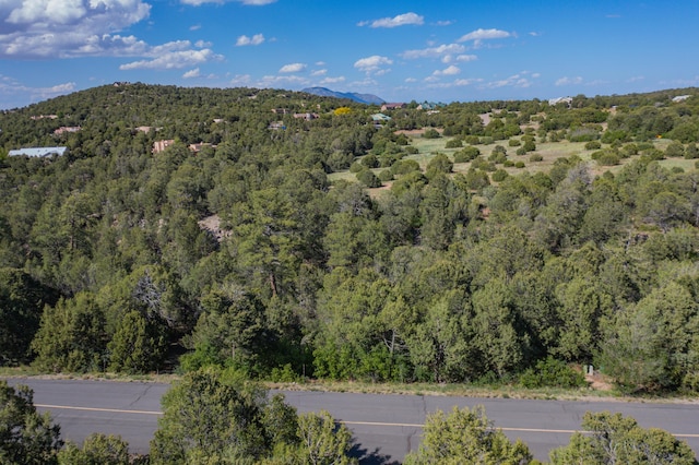 33 Los Pecos Lp, Tijeras, NM 87059 - photo 2