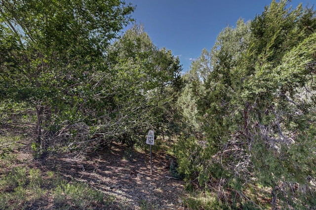 33 Los Pecos Lp, Tijeras, NM 87059 - photo 25