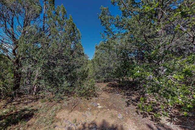 33 Los Pecos Lp, Tijeras, NM 87059 - photo 23