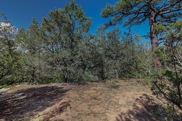 33 Los Pecos Lp, Tijeras, NM 87059 - photo 22