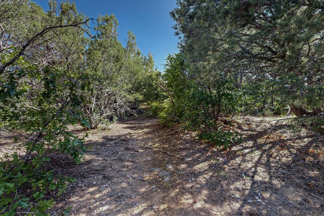 33 Los Pecos Lp, Tijeras, NM 87059 - photo 21