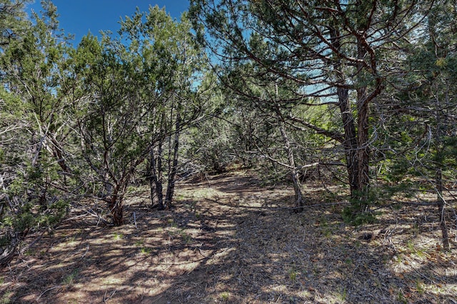 33 Los Pecos Lp, Tijeras, NM 87059 - photo 20