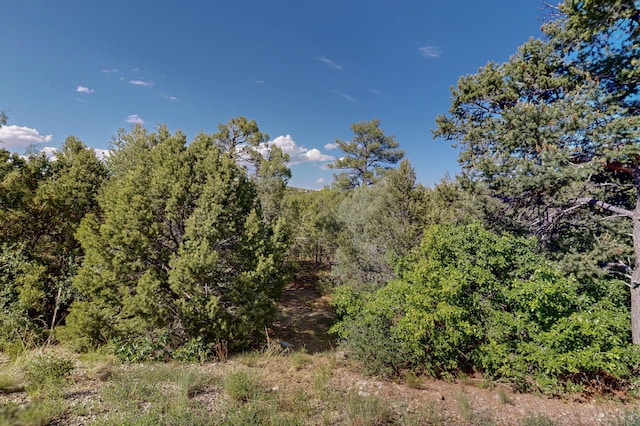 33 Los Pecos Lp, Tijeras, NM 87059 - photo 19