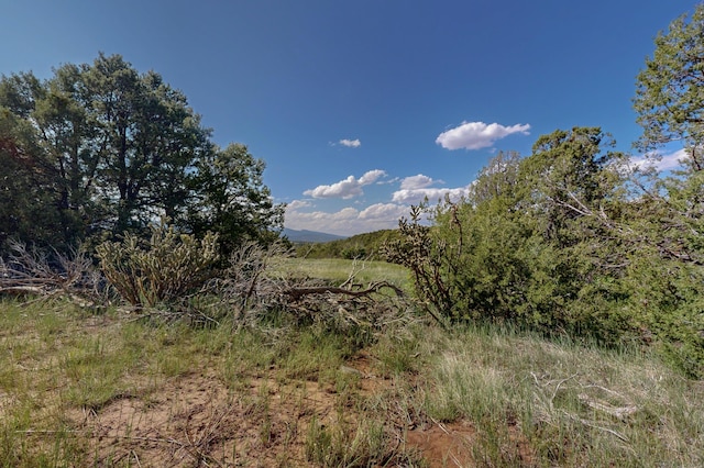 33 Los Pecos Lp, Tijeras, NM 87059 - photo 18