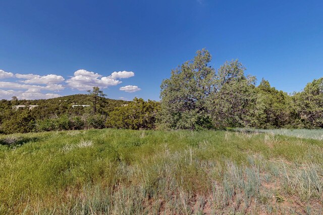 33 Los Pecos Lp, Tijeras, NM 87059 - photo 16