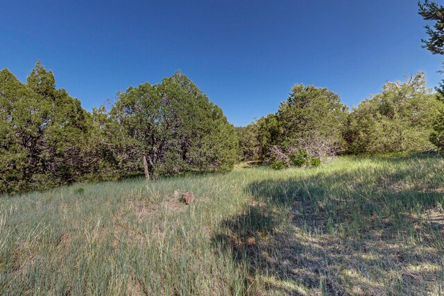 33 Los Pecos Lp, Tijeras, NM 87059 - photo 14