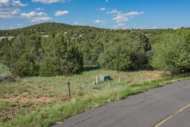 33 Los Pecos Lp, Tijeras, NM 87059 - photo 13
