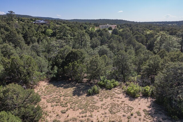 33 Los Pecos Lp, Tijeras, NM 87059 - photo 12