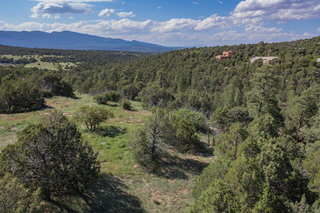 33 Los Pecos Lp, Tijeras, NM 87059 - photo 11