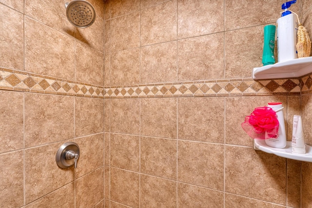 10 Berkshire Rd, Estancia, NM 87016 - bathroom view of tiled shower