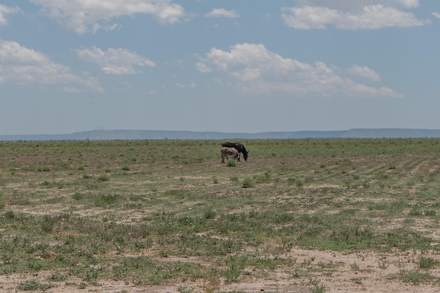 10 Berkshire Rd, Estancia, NM 87016 - water view with rural landscape