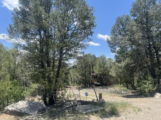 17 Michelle Ct, Edgewood, NM 87015 - photo 1