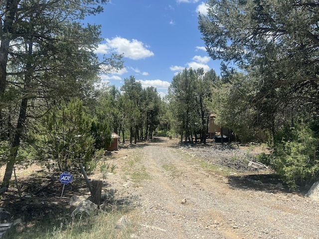 17 Michelle Ct, Edgewood, NM 87015 - photo 2