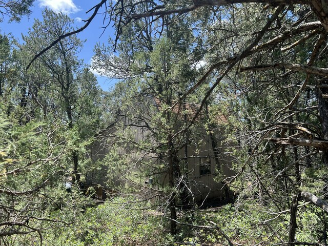 17 Michelle Ct, Edgewood, NM 87015 - photo 5
