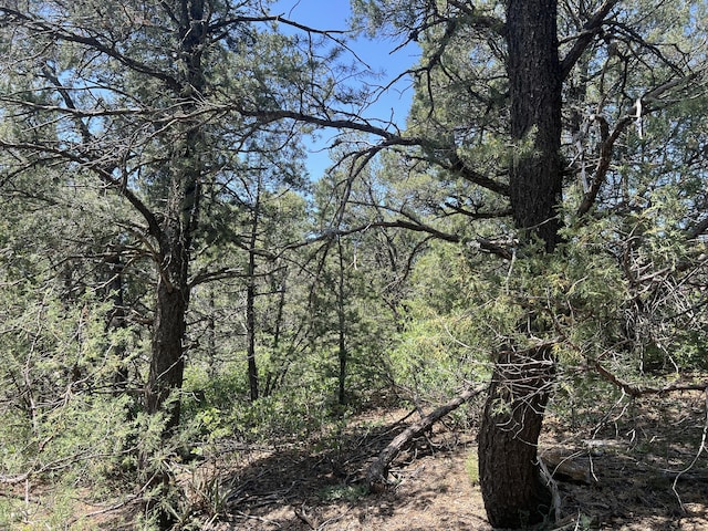 17 Michelle Ct, Edgewood, NM 87015 - photo 6