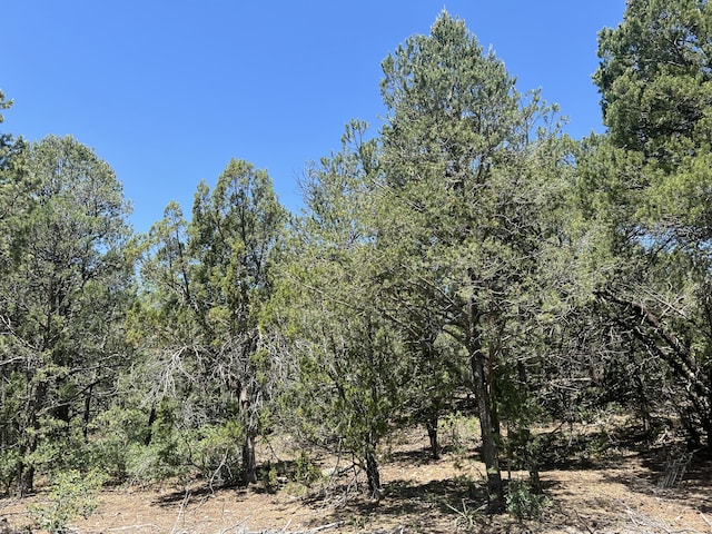 17 Michelle Ct, Edgewood, NM 87015 - photo 7