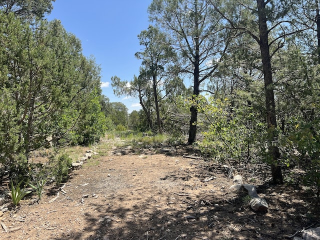 17 Michelle Ct, Edgewood, NM 87015 - photo 8