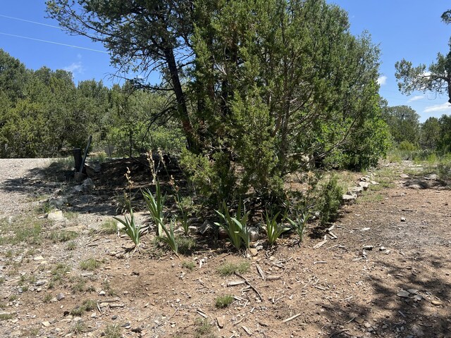 17 Michelle Ct, Edgewood, NM 87015 - photo 9
