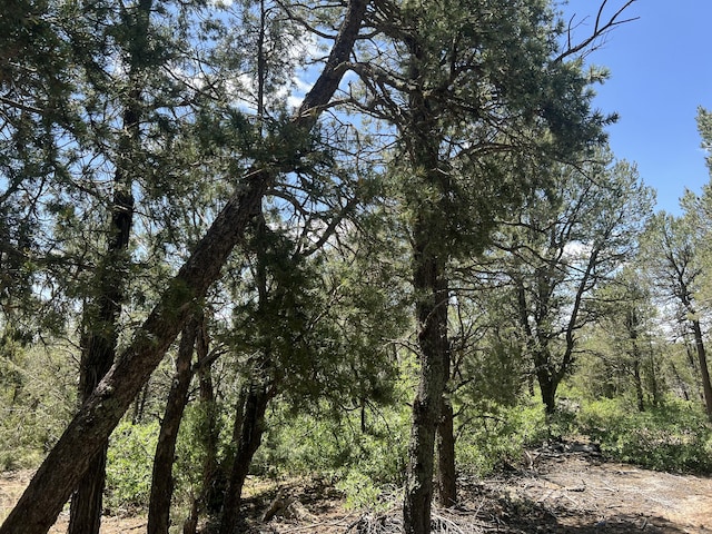 17 Michelle Ct, Edgewood, NM 87015 - photo 10