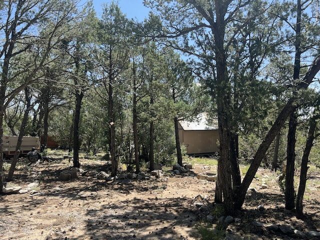 17 Michelle Ct, Edgewood, NM 87015 - photo 12