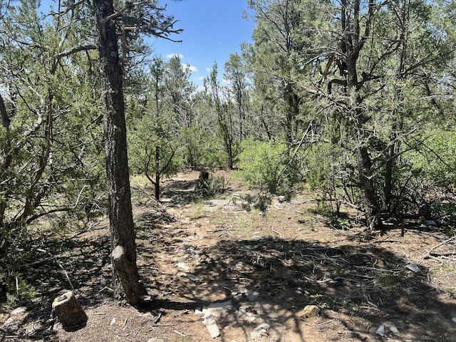 17 Michelle Ct, Edgewood, NM 87015 - photo 14