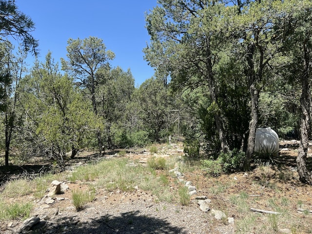 17 Michelle Ct, Edgewood, NM 87015 - photo 15