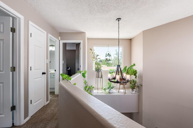 9701 Layton Ave NE Unit A, Albuquerque, NM 87111 - photo 17