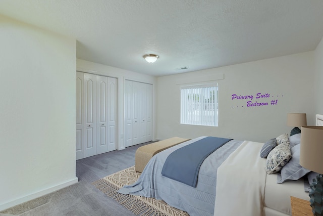 1201 Calle Placitas, Bernalillo, NM 87004 - carpeted bedroom with two closets and a textured ceiling