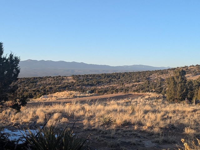 1854 Deer Canyon Trl, Mountainair, NM 87036 - photo 1