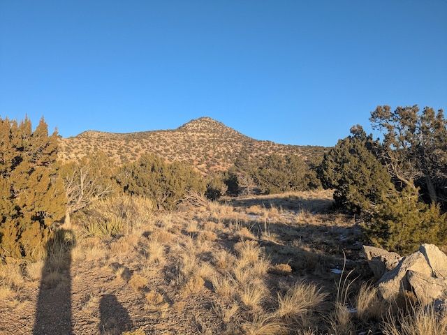 1854 Deer Canyon Trl, Mountainair, NM 87036 - photo 6