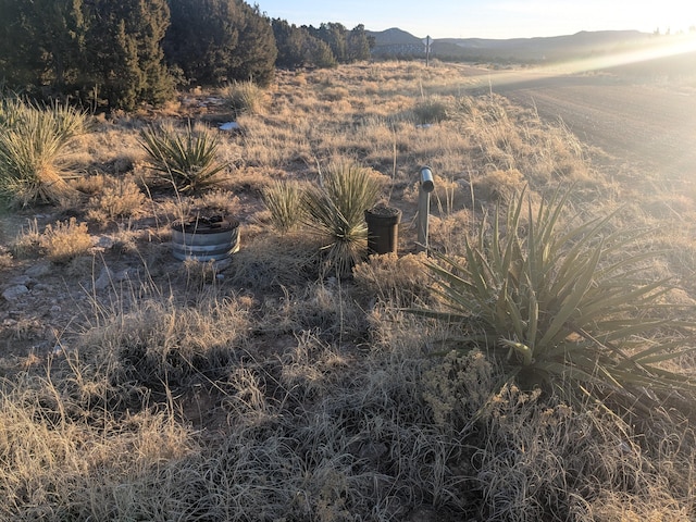 1854 Deer Canyon Trl, Mountainair, NM 87036 - photo 4