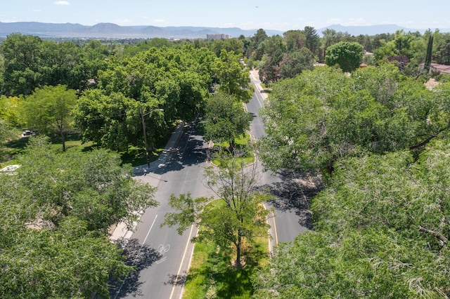 805 Ridgecrest Dr SE, Albuquerque, NM 87108 - photo 48