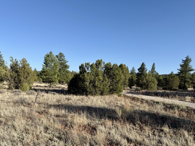 LOT21 Cottonwood Ln, Ramah, NM 87321