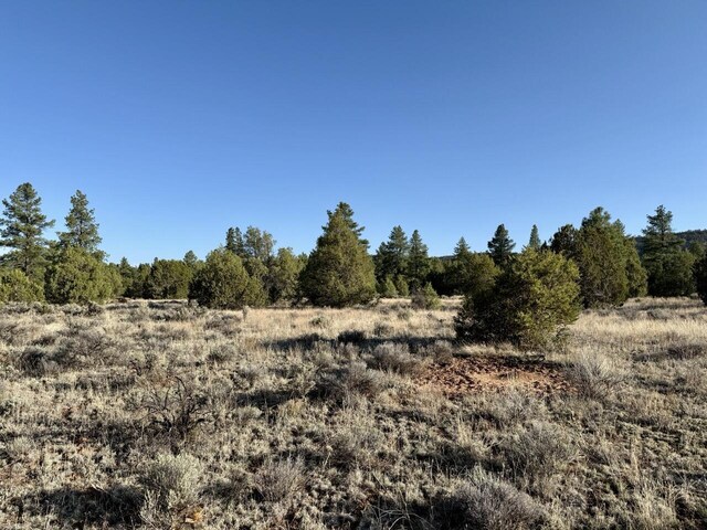 LOT21 Cottonwood Ln, Ramah, NM 87321