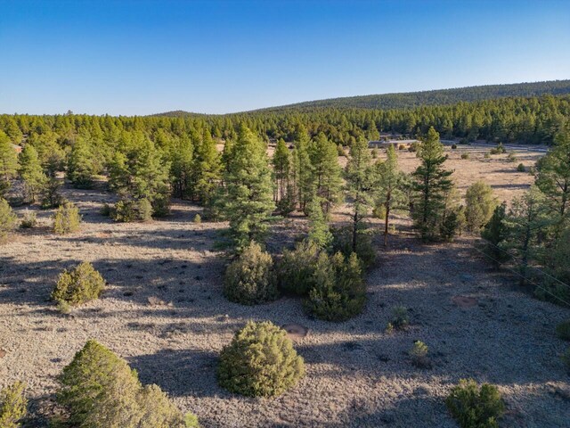 LOT21 Cottonwood Ln, Ramah, NM 87321