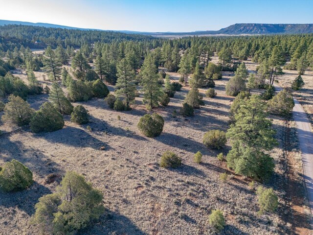 LOT21 Cottonwood Ln, Ramah, NM 87321