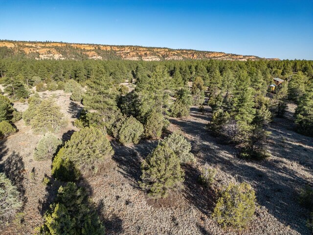 LOT21 Cottonwood Ln, Ramah, NM 87321