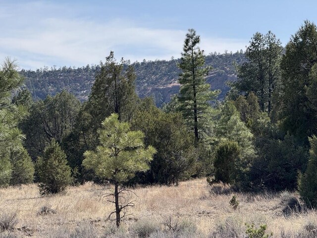 LOT21 Cottonwood Ln, Ramah, NM 87321