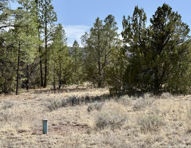 LOT21 Cottonwood Ln, Ramah, NM 87321