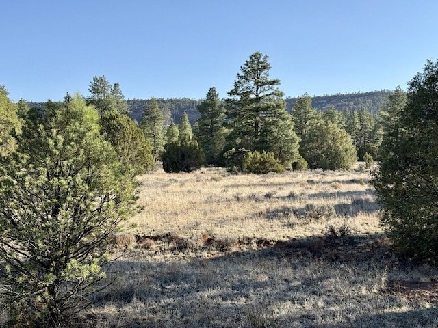 LOT21 Cottonwood Ln, Ramah, NM 87321